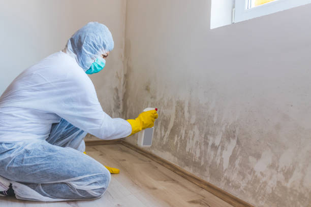Crawl Space Mold Remediation treatment of floor joists in Wake Forest